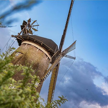Ferienhaus Zirchow 1 Dış mekan fotoğraf